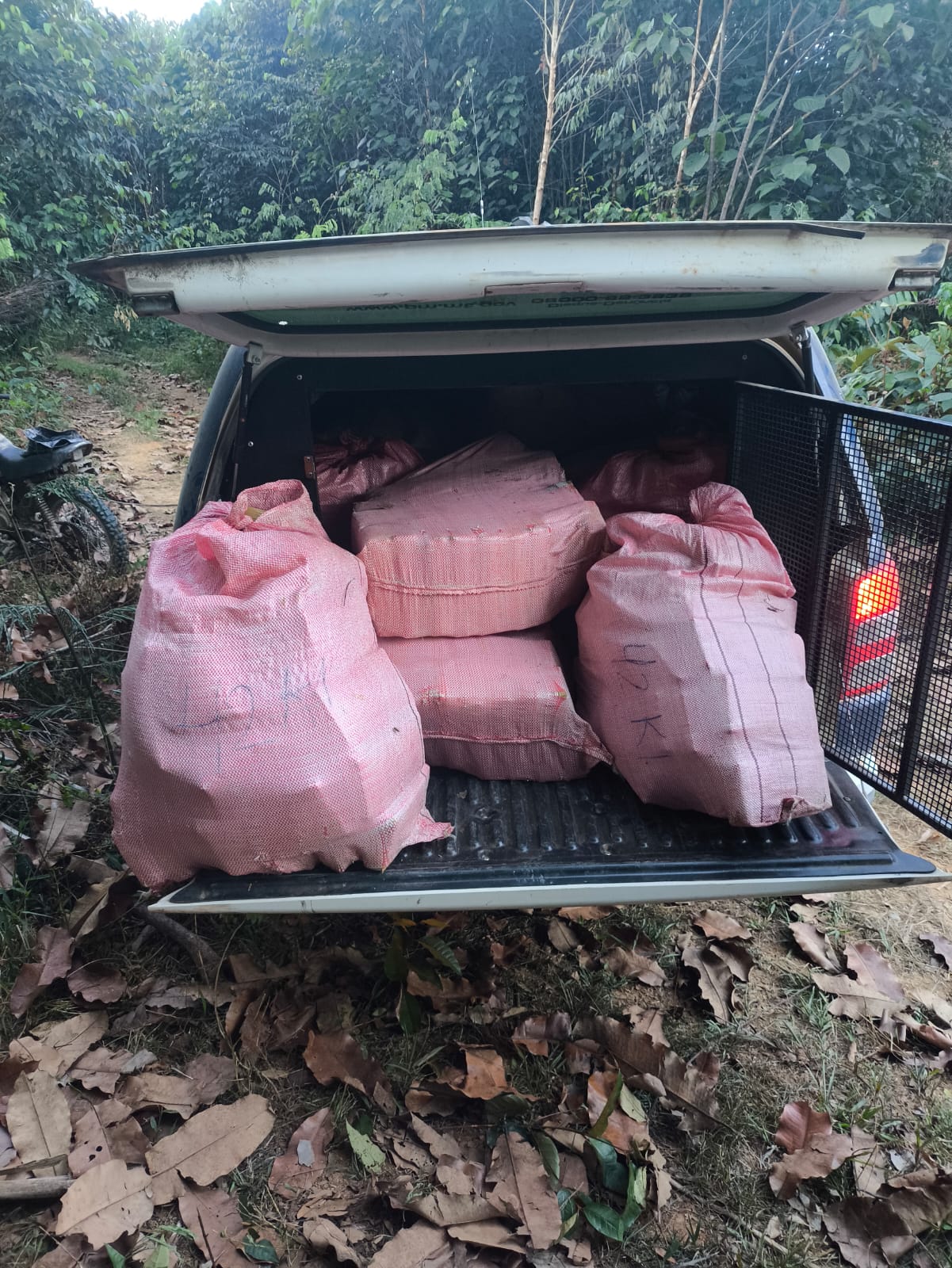 TRÊS SÃO PRESOS APÓS DENÚNCIA DE AVIÕES COM DROGAS EM PISTA CLANDESTINA 